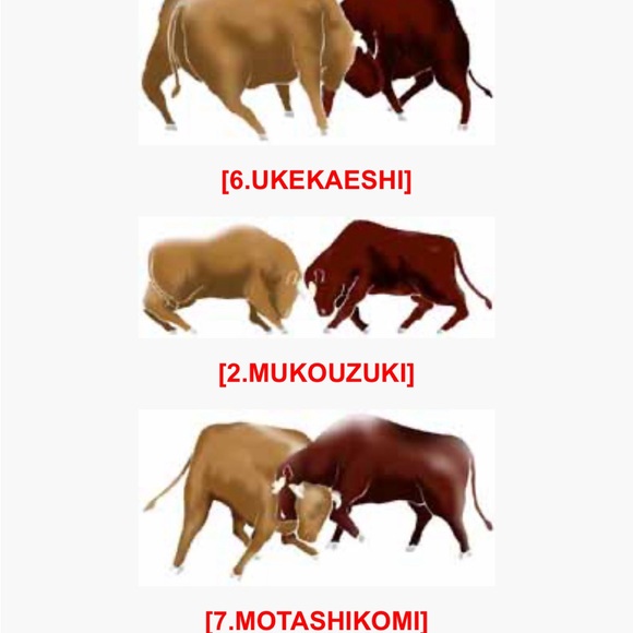 Vintage Traditional Cultural Japanese TOUGYU ITTOUBORI Bull Sumo Wood Figure - Picture 10 of 13